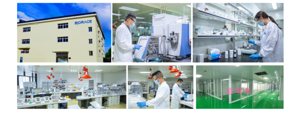 杭州百芮羅伊氏乳桿菌R-823 創新生物科技的研發與應用前景