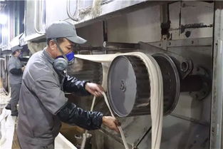 創(chuàng)新驅(qū)動(dòng)，綠色賦能——阿拉爾中泰紡織科技公司毛型纖維新產(chǎn)品成功下線(xiàn)